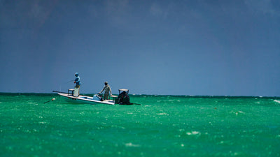 Tarpon Tournament Fishing with Capt. Greg Dini