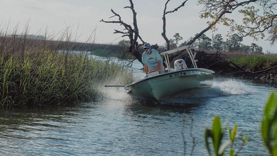 Summer in the Marsh